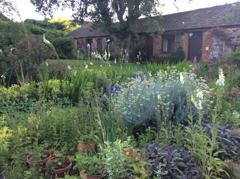 Bush Farmhouse garden view