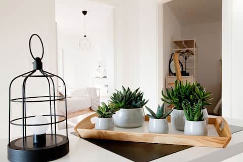 Casa Buffalmacco/host