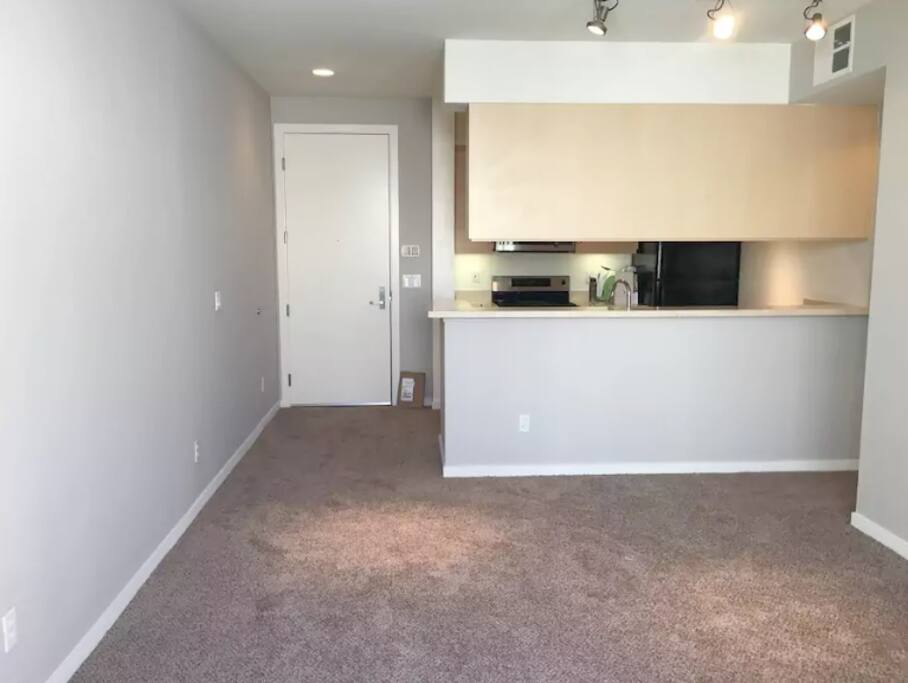 Large Living Room