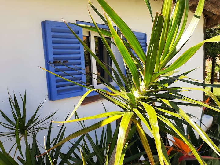 Alai, Exotic bungalow on the beach