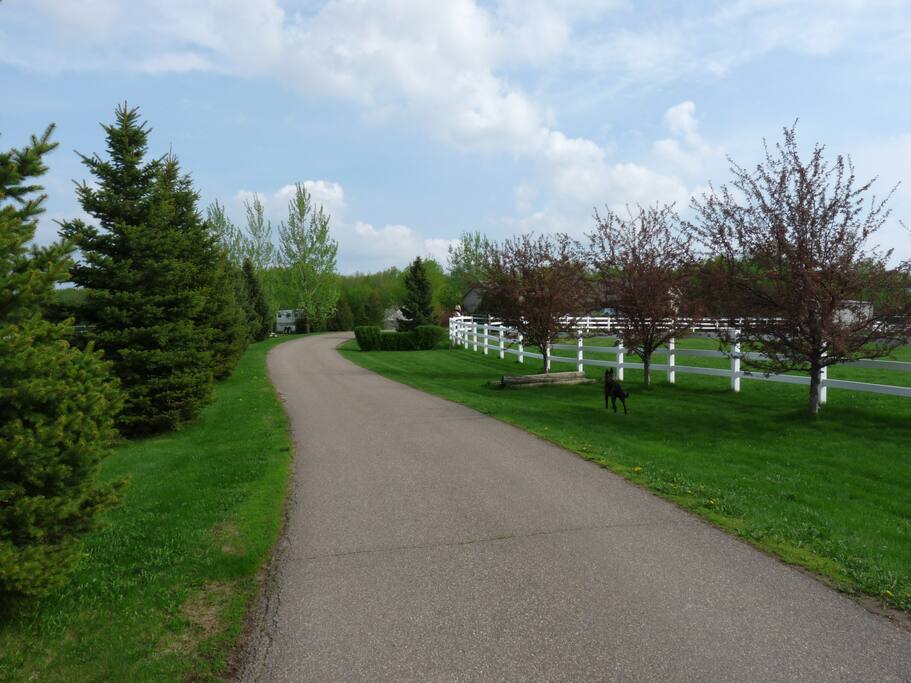 Lovely walks and riding