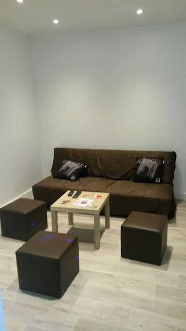 Salon avec télévision