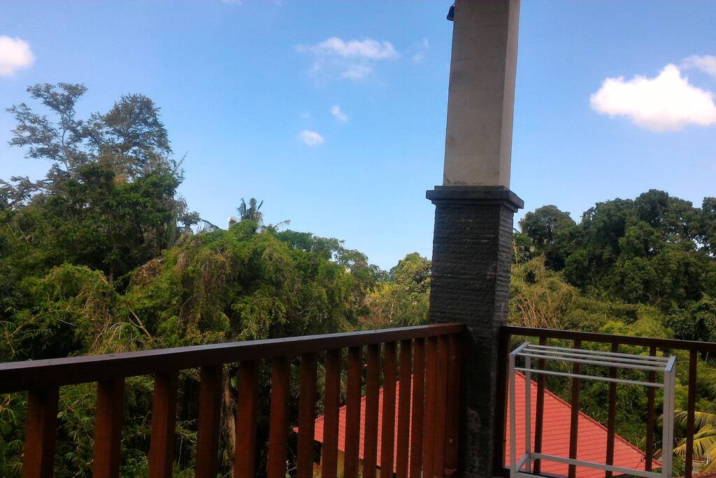 jungle view