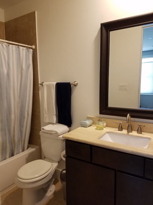 Large bathroom with tub and shower