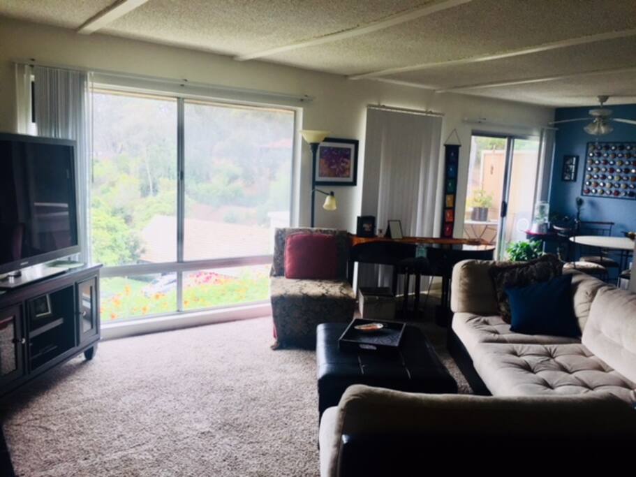 51" screen TV with Playstation and DVD player