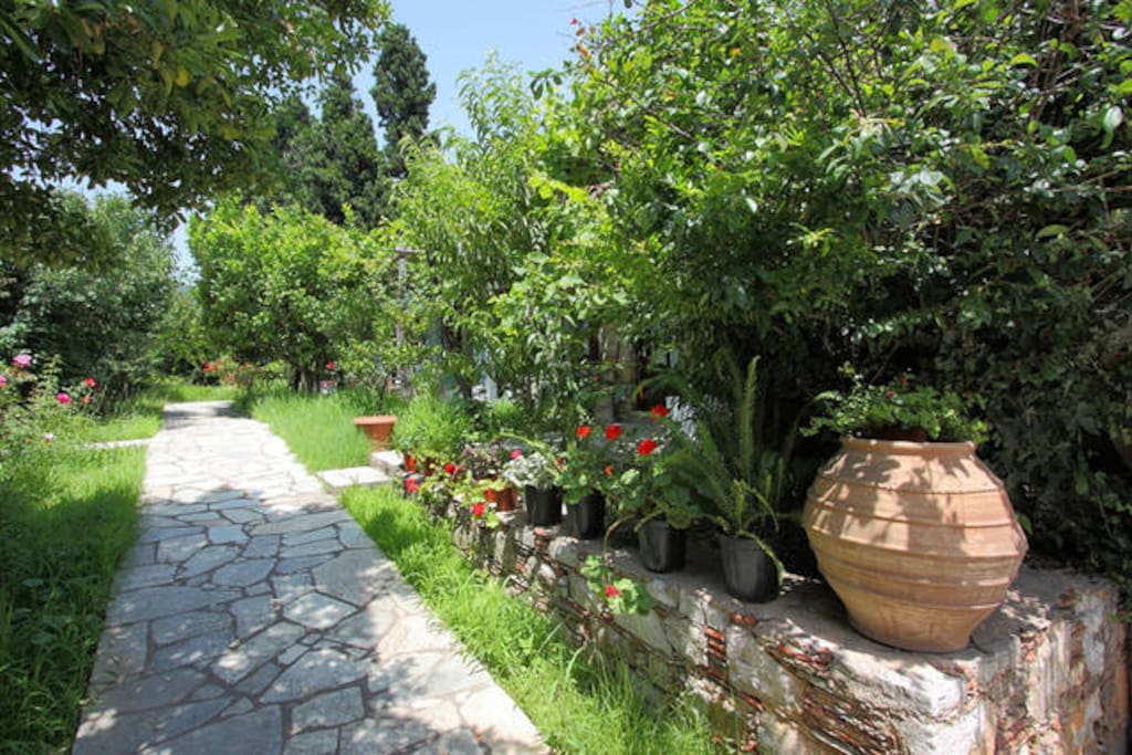 Perivoli garden
Κήπος