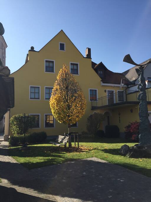 View from garden