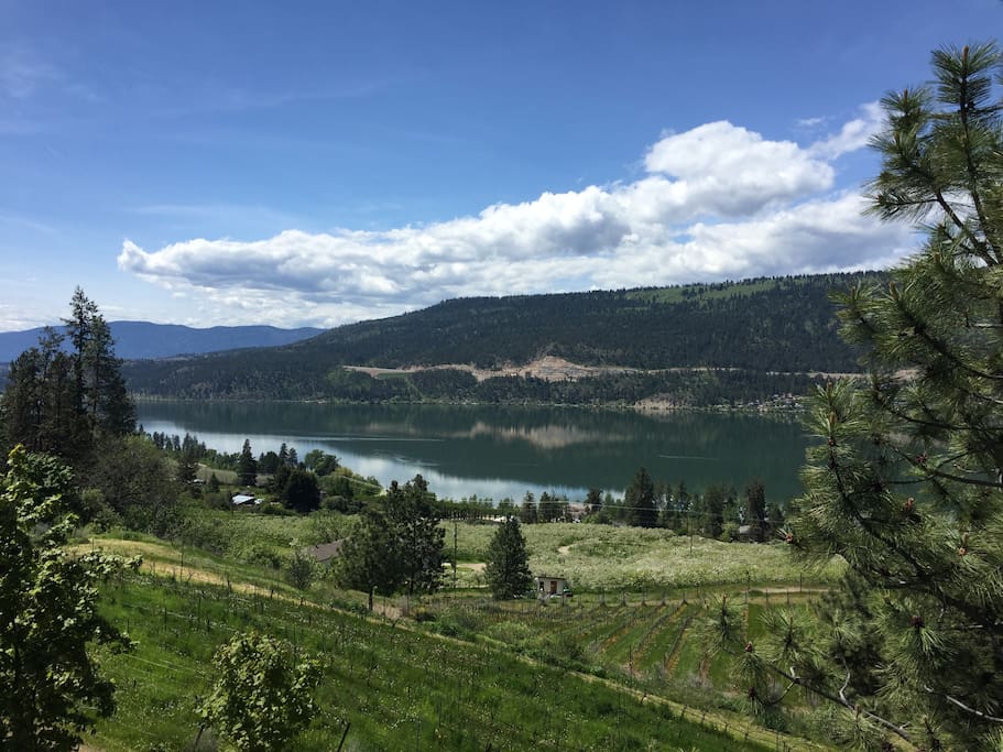 Another great view