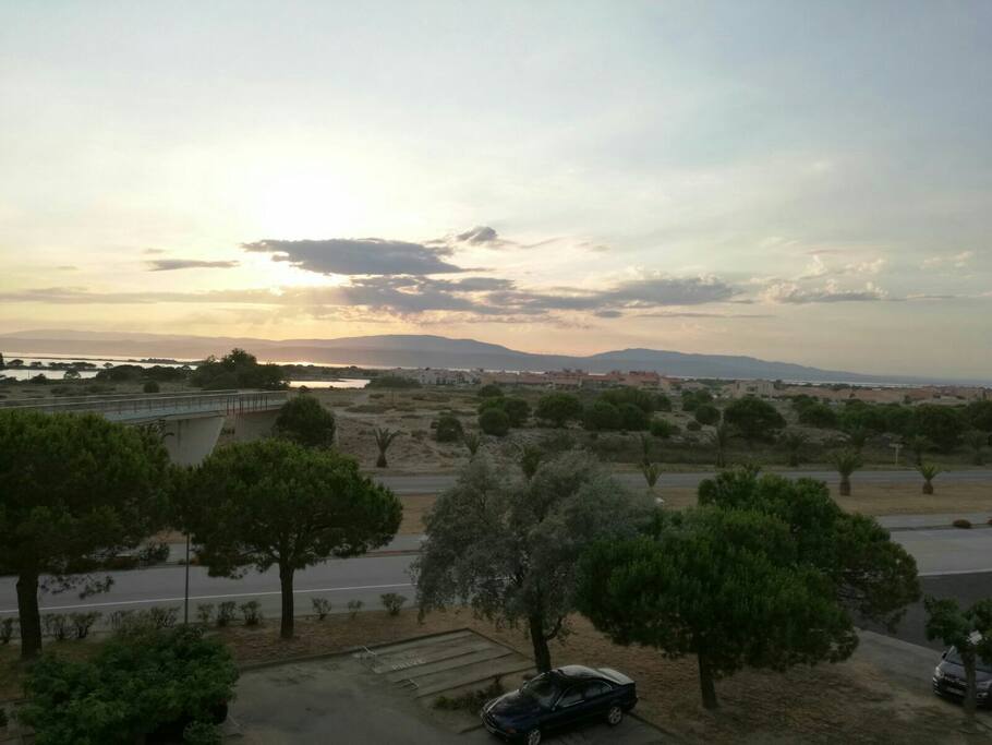 Vue sur l'étang