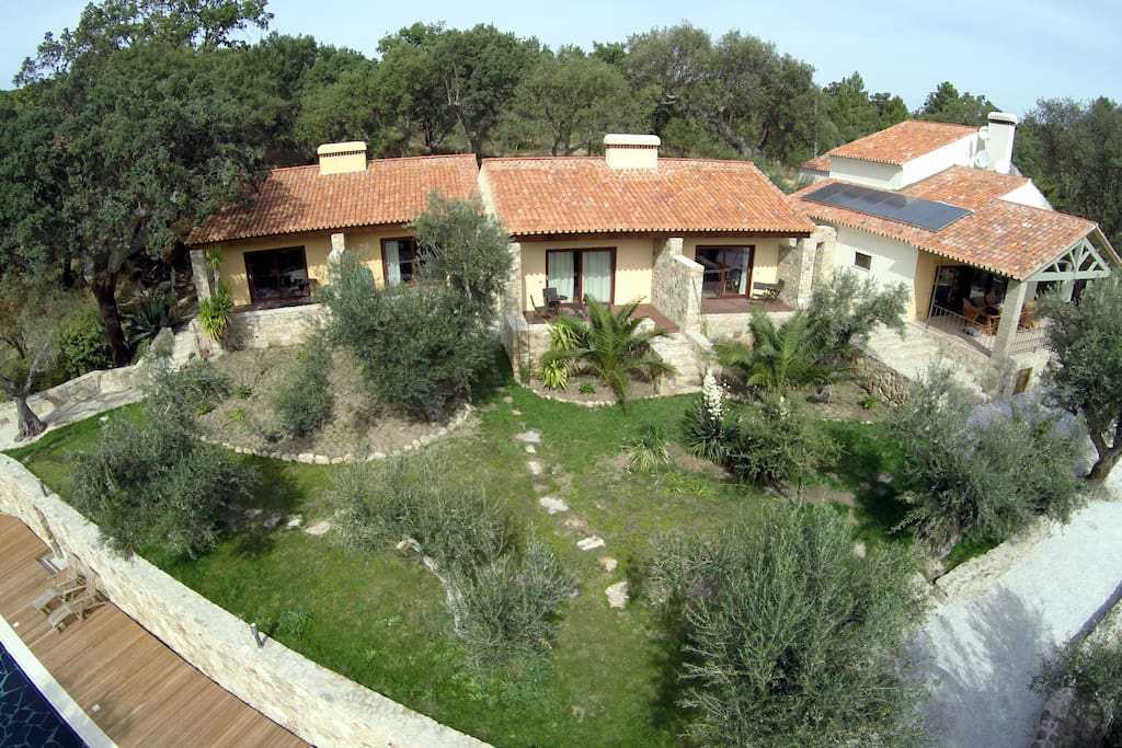 The Studio Apartments
