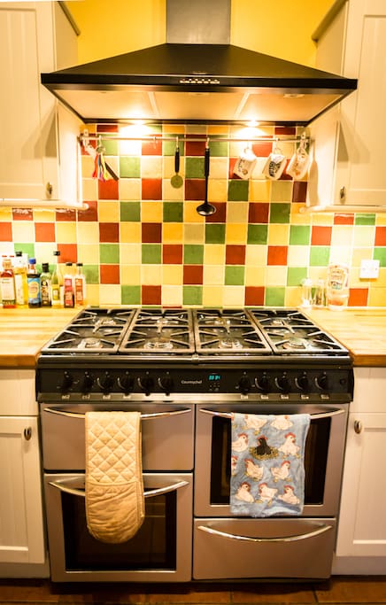 Eight ringed gas stove and double electric oven and grill.