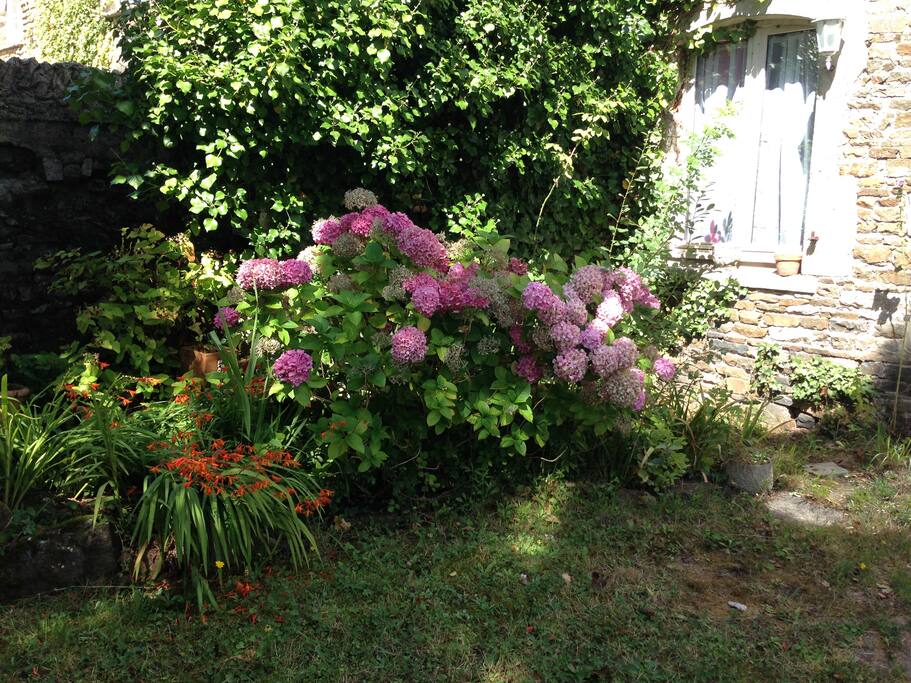 Jardin devant la maison