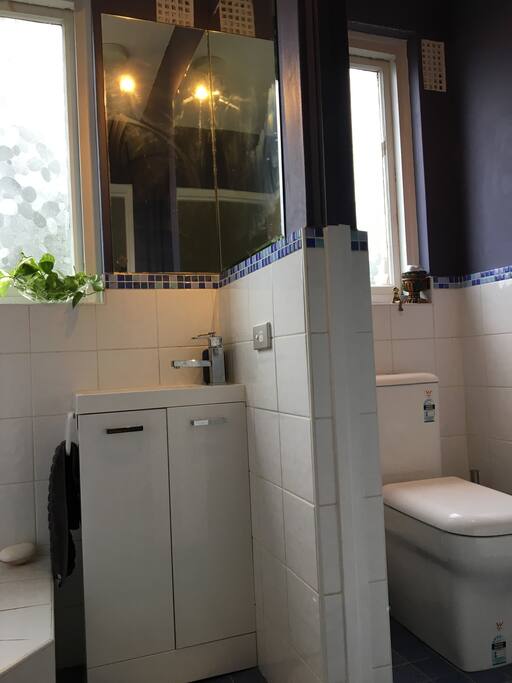 Bathroom with a wall dividing toilet and vanity