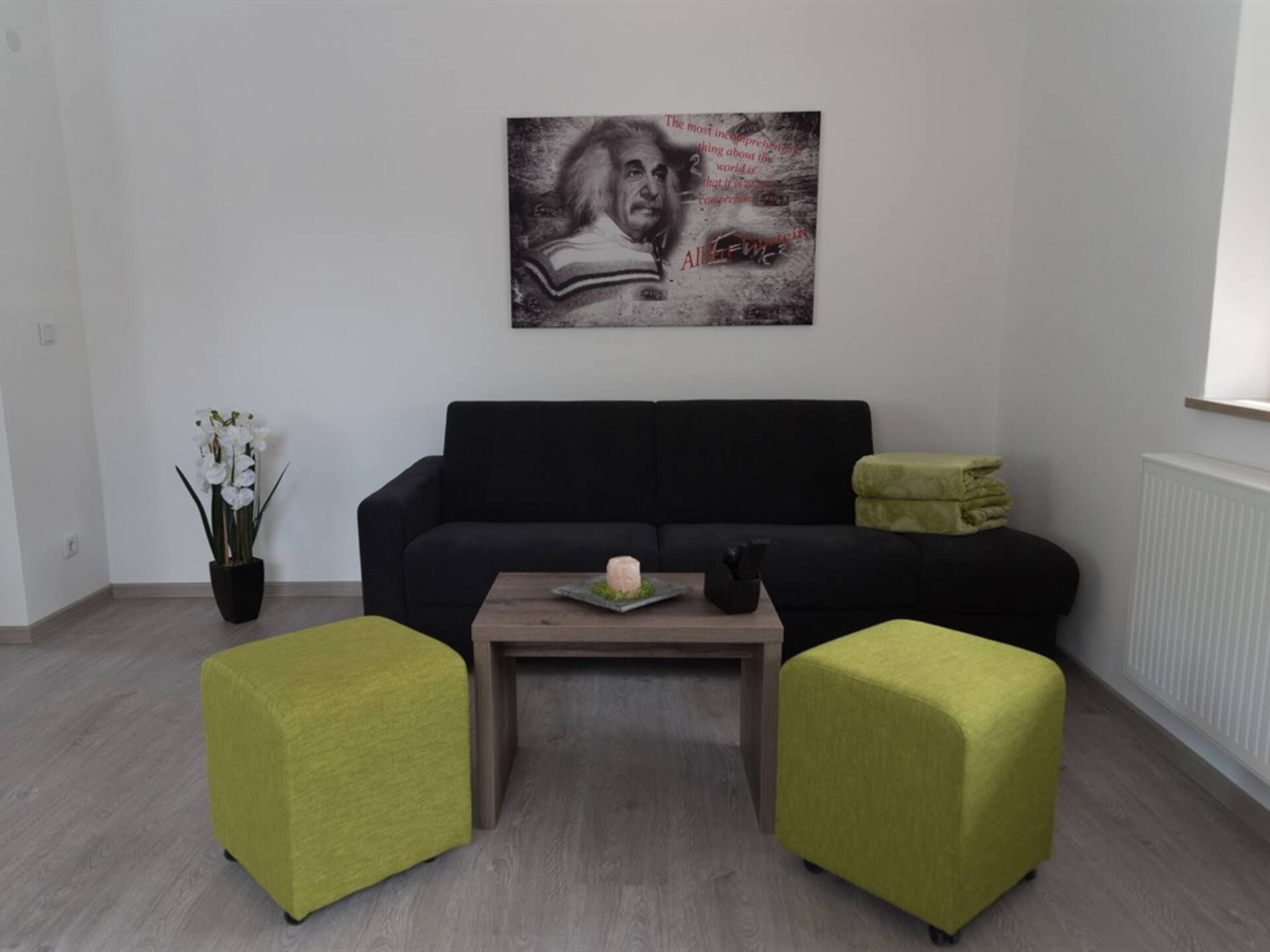 FrankenFeWo - Einstein ground floor