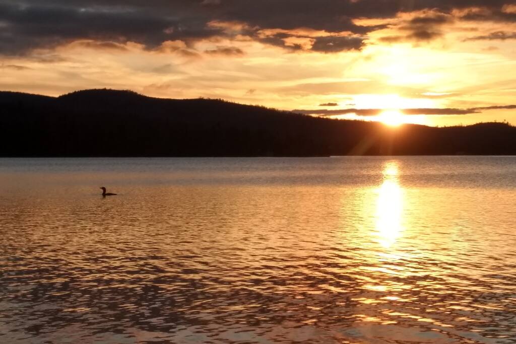 Enjoy the sunset