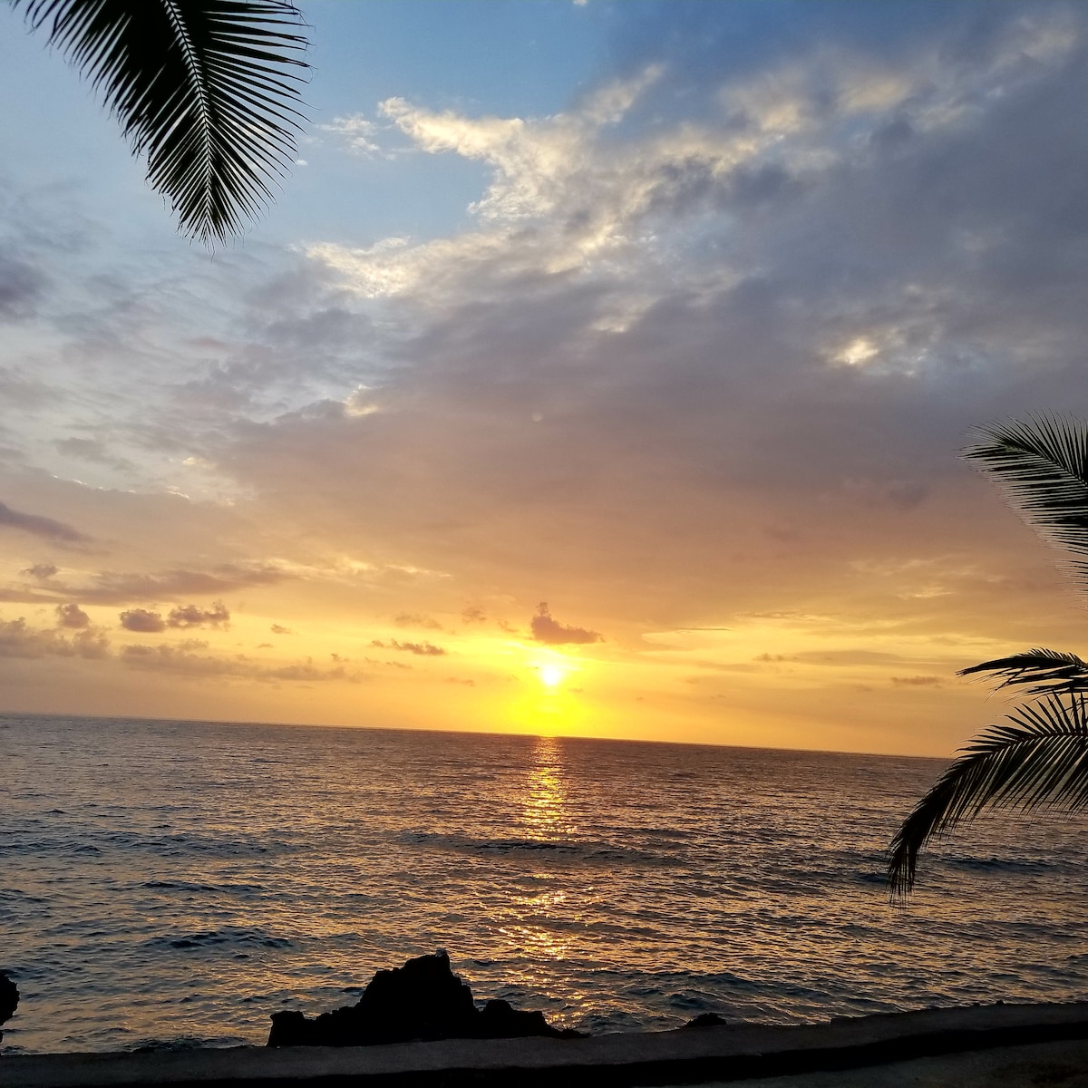 A vibrant sunset casts warm hues over the ocean, reflecting off the water's surface. Silhouettes of palm fronds frame the scene, enhancing the serene coastal atmosphere. The horizon blends orange and yellow tones, creating a peaceful transition as day turns to night.