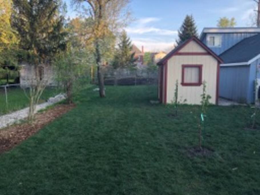 Large Backyard with fruit trees and organic garden