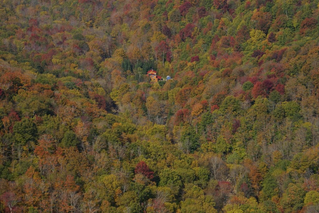 Welcome to Dunville Hollow and Stamford Stream nestled in the Green Mountain National Forest.
