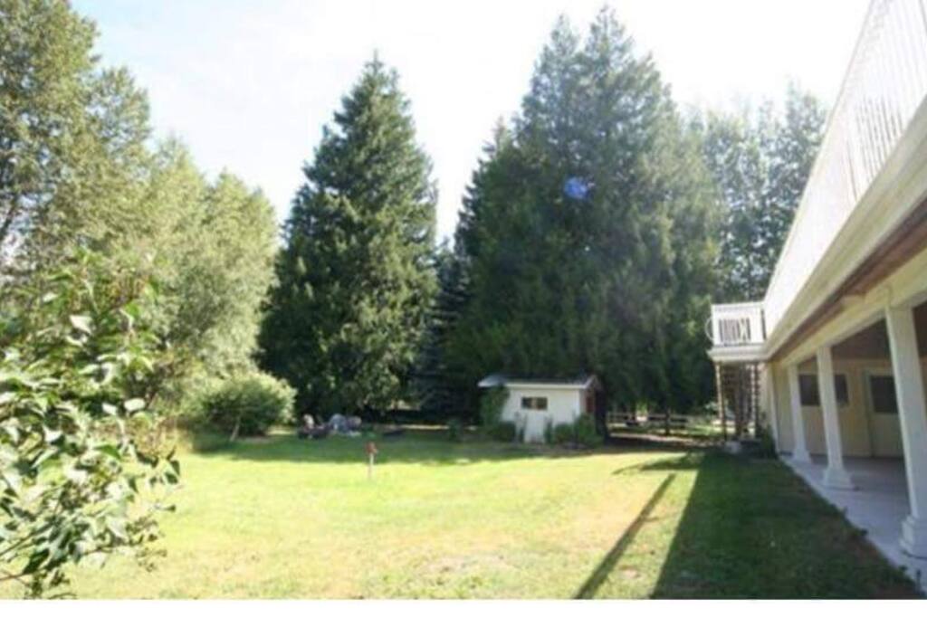 Back yard and patio