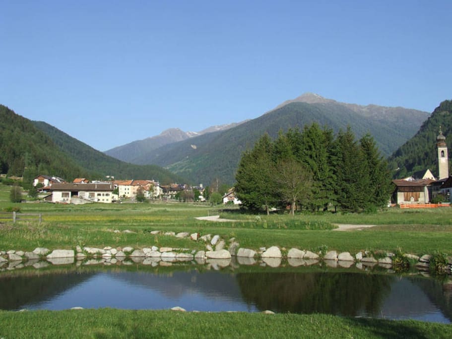 Vista estiva montagne
