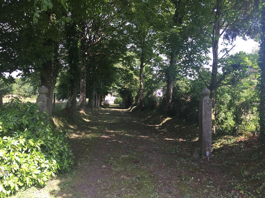 The private alley