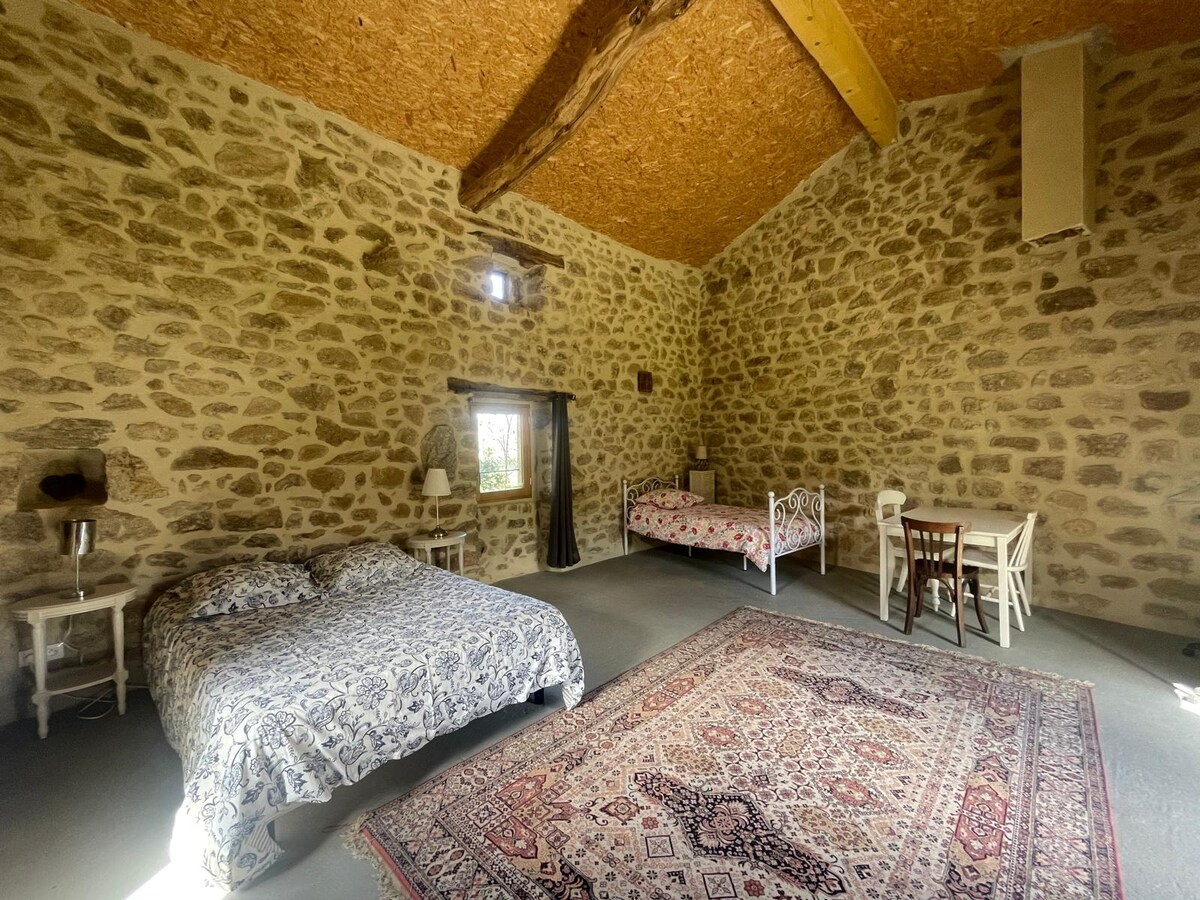 Habitación 1
