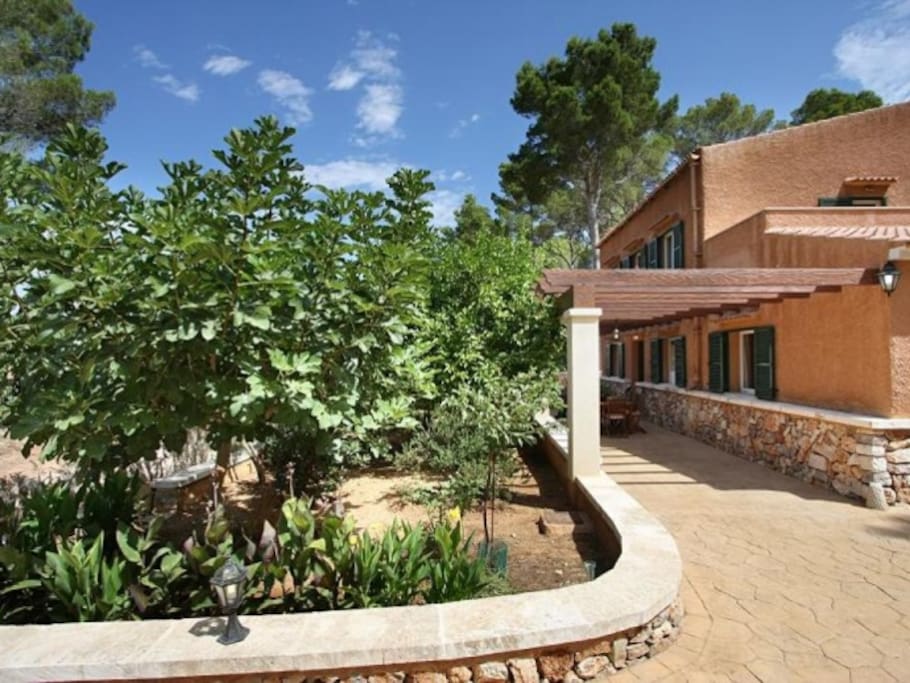 Finca Perello - Felantix, Mallorca