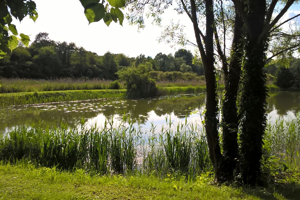 nature et bords de Conie