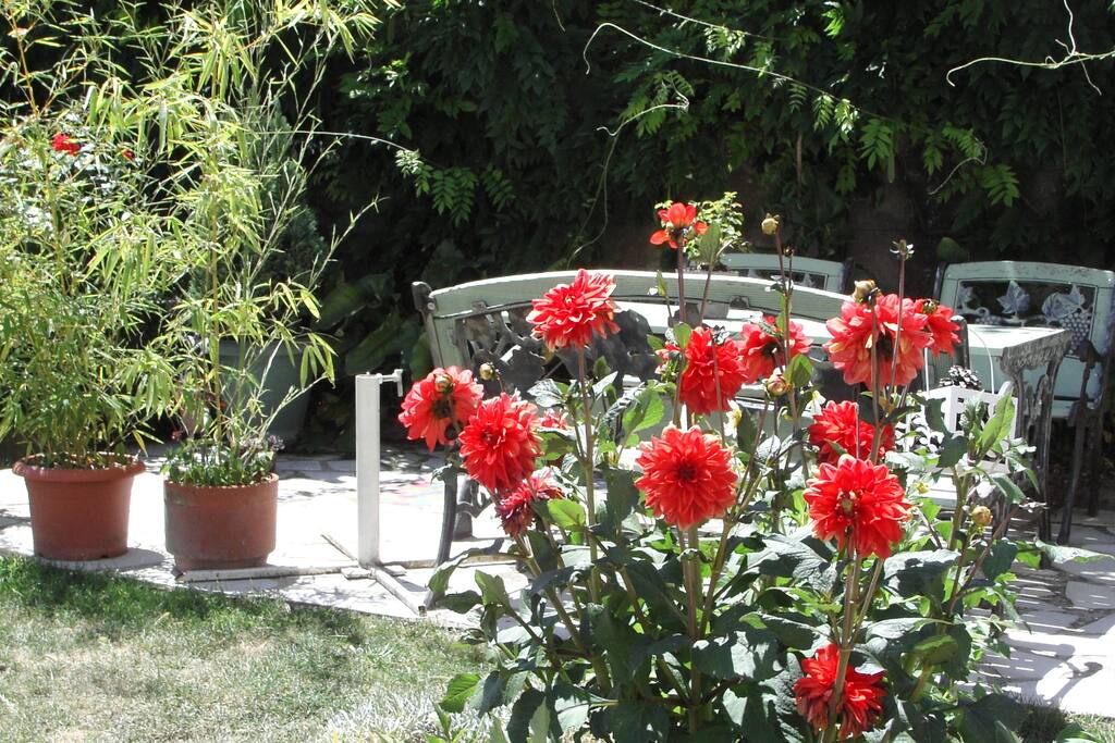 La terrasse
