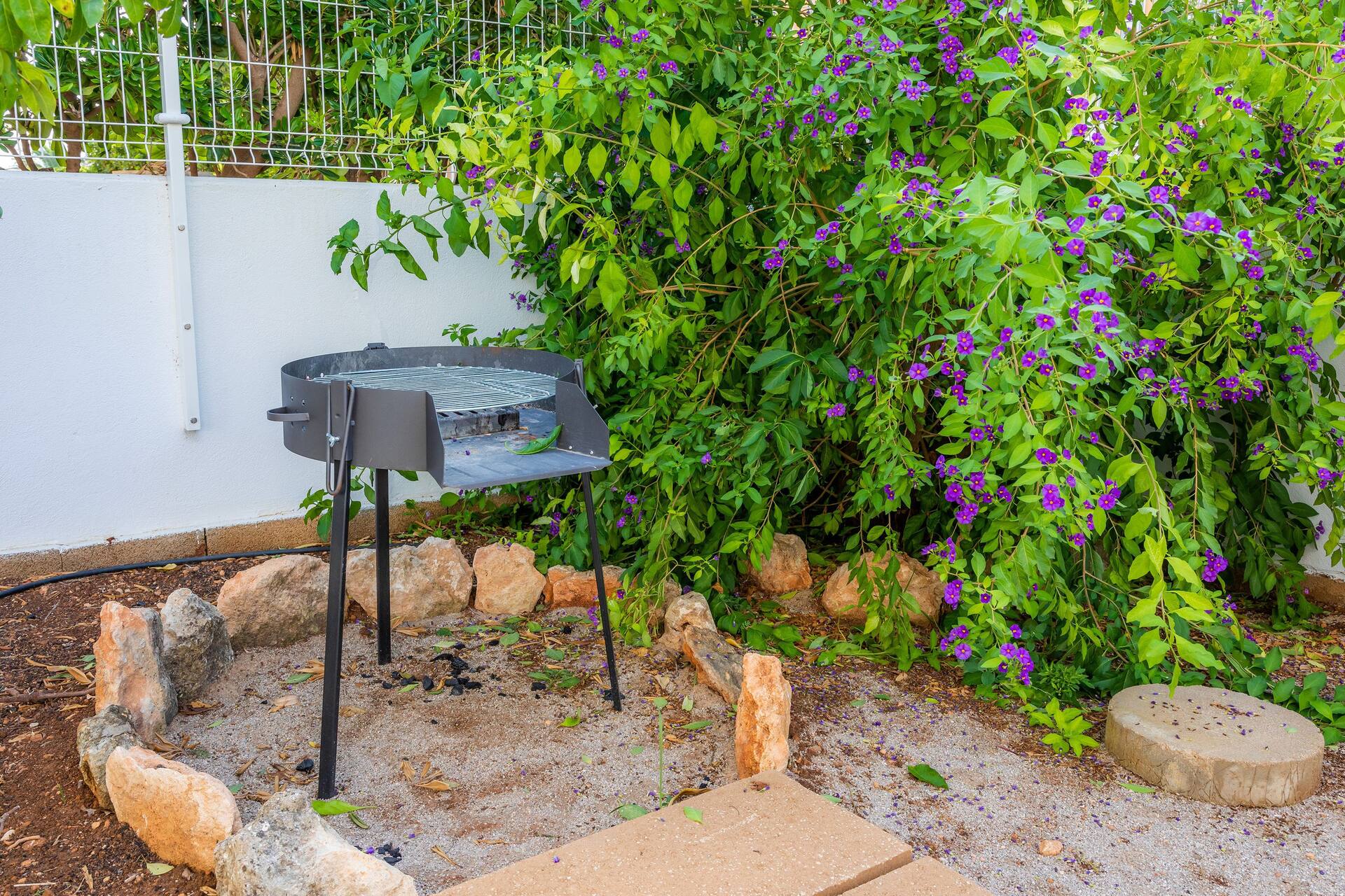 Ideal Property Mallorca - Tobalu — foto 5