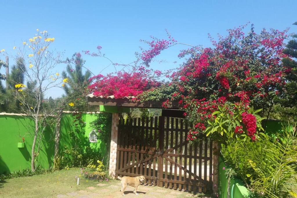 Entrada