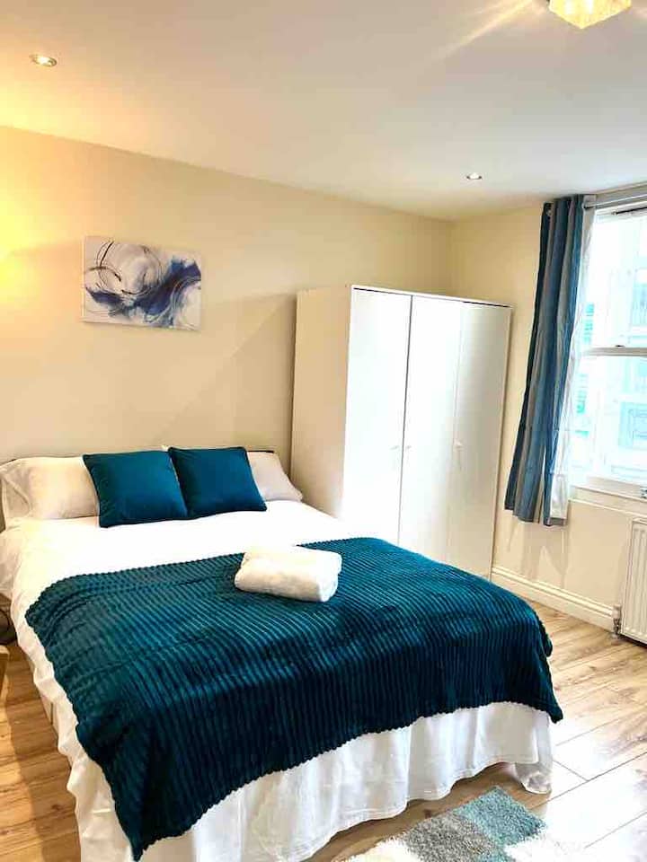Excellent Studio flat in Central London Apartments for Rent in