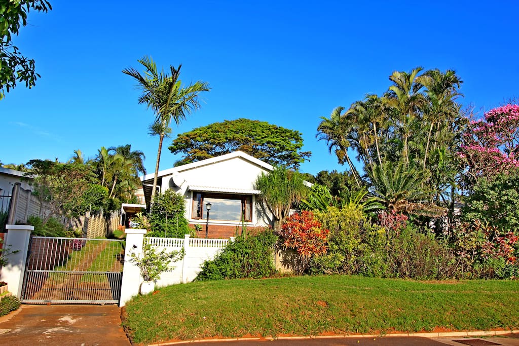 Dolphin Palms at 15 Savell Avenue