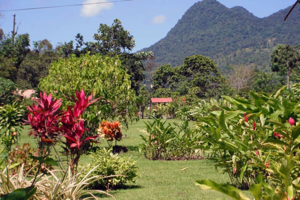Cabins are surrounded by tropical gardens