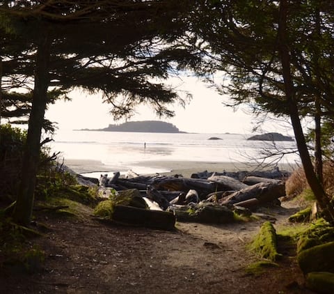 The Cabin at The Point at Chesterman