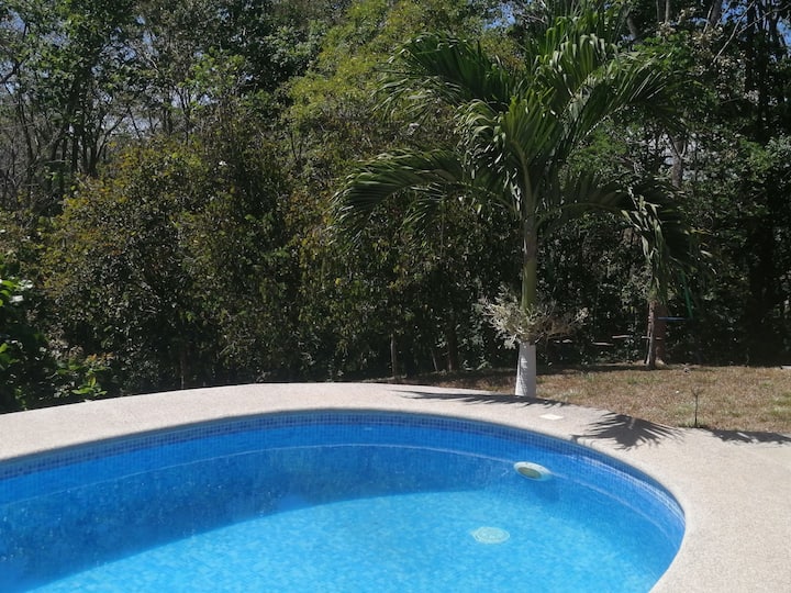 Holiday Homes & Apartment Rentals - Airbnb