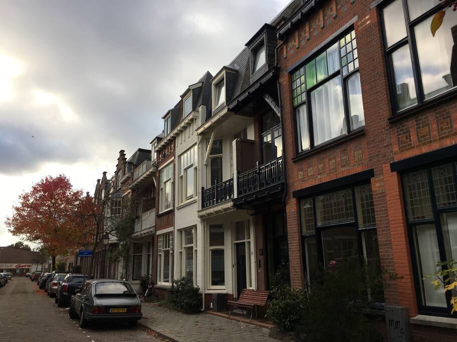 Our cozy street is full of nice families, beautiful trees and shrubs.