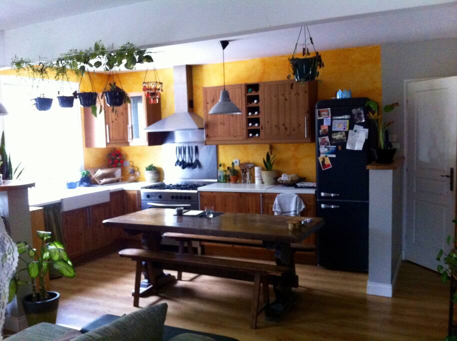 Cuisine ouverte sur séjour avec son piano de cuisson!