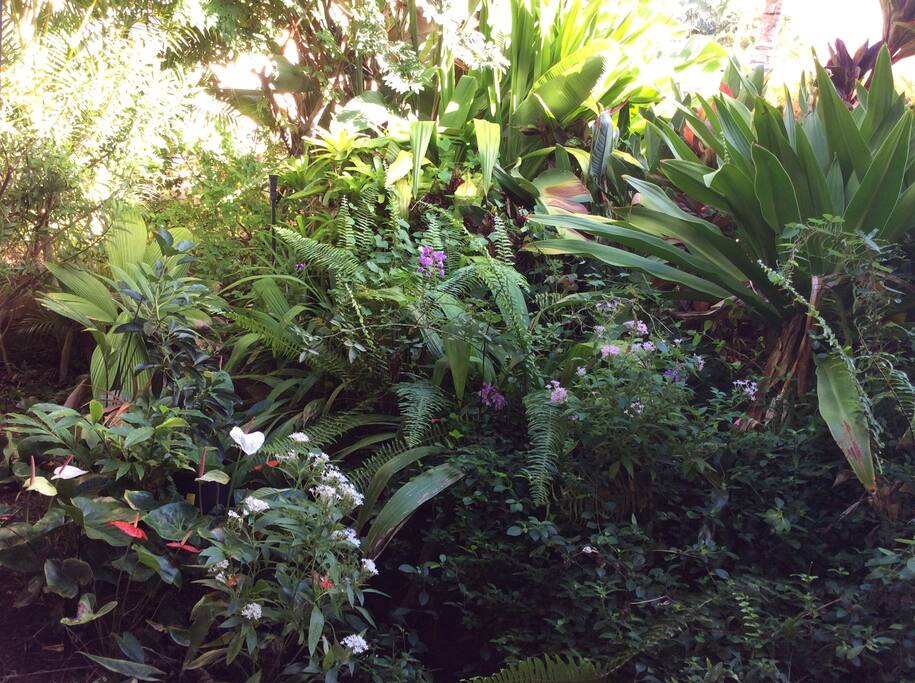 Tropical garden in front of house with covered porch.