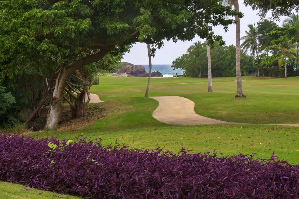Only a few minute walk along the cart path to the Tail of the Whale island green.