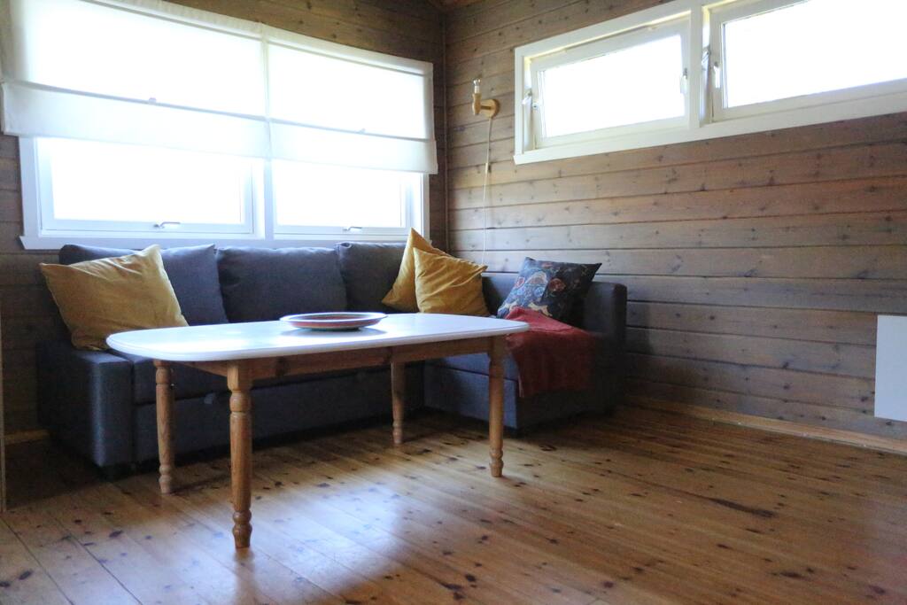 Living room with sleeper couch, sleeps two