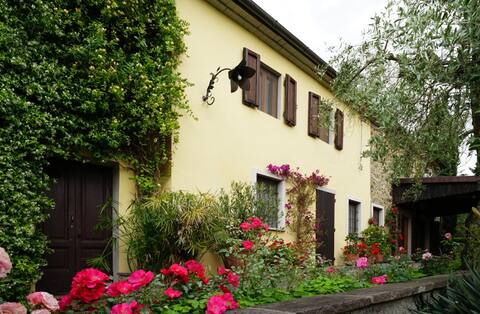 stylish Tuscany country house in the olive grove