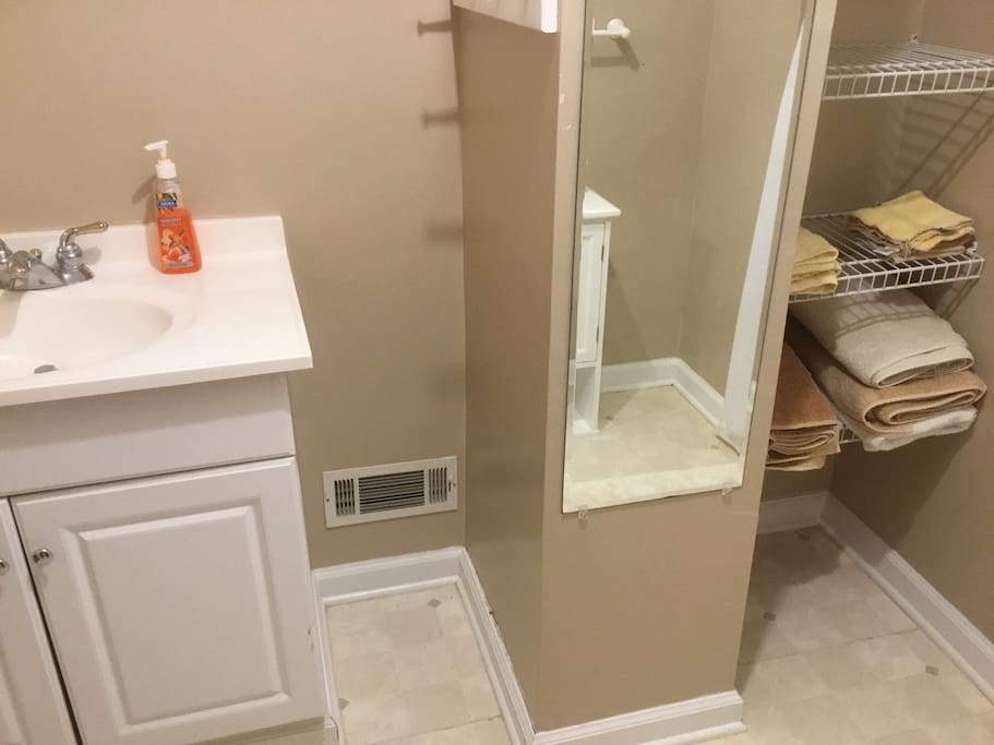 Large bathroom with linen storage