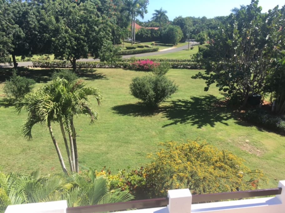 View from the 2nd floor terrace. The pool for this area is behind the tree on the right.