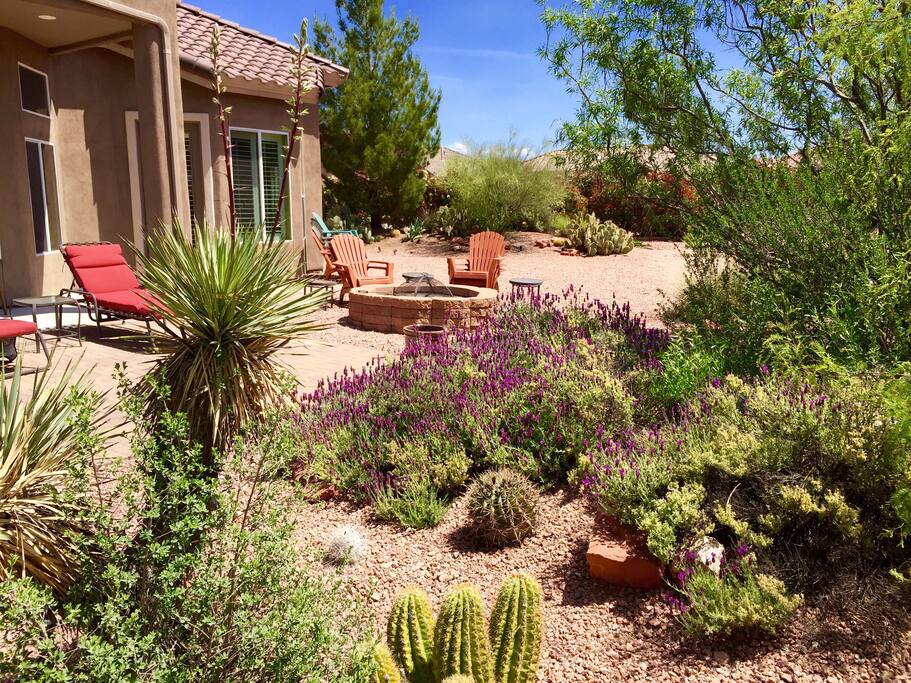Colorful backyard desert landscape...