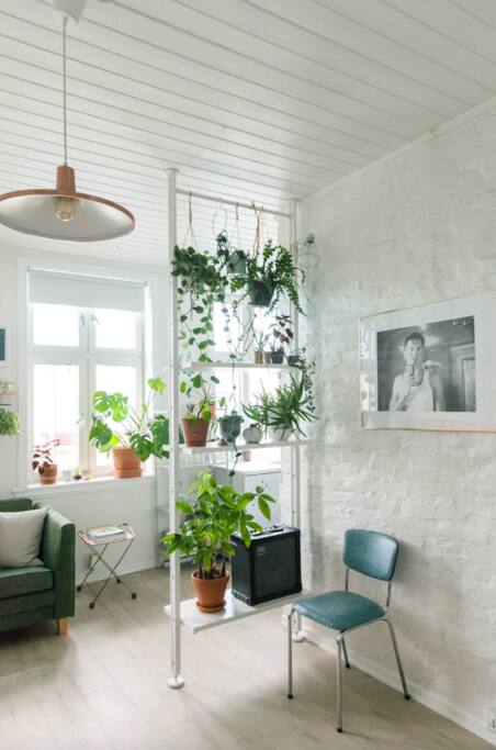 Appartment used as an IKEA showroom https://m2.ikea.com/no/no/ideas/9-tips-for-en-gronnere-stue-99da2921101111e8b60de7ba835f6e21