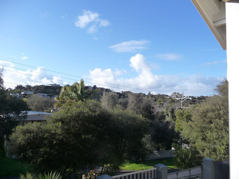 Beautiful views of the Rye treetops