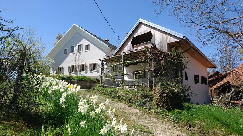 Historic Pocket House at Lenart near Ljubljana