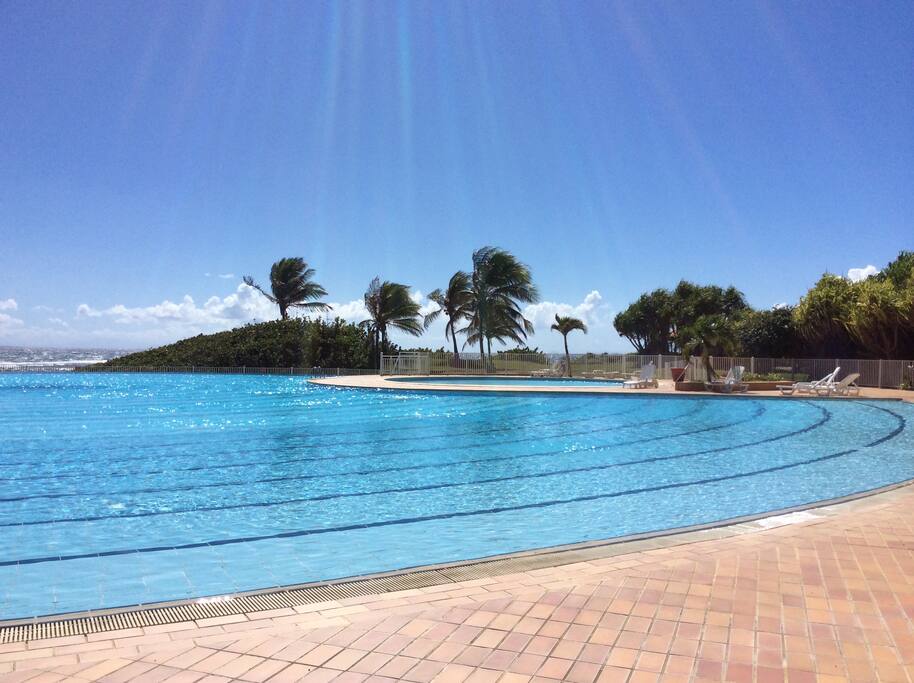 Piscine à 50 m