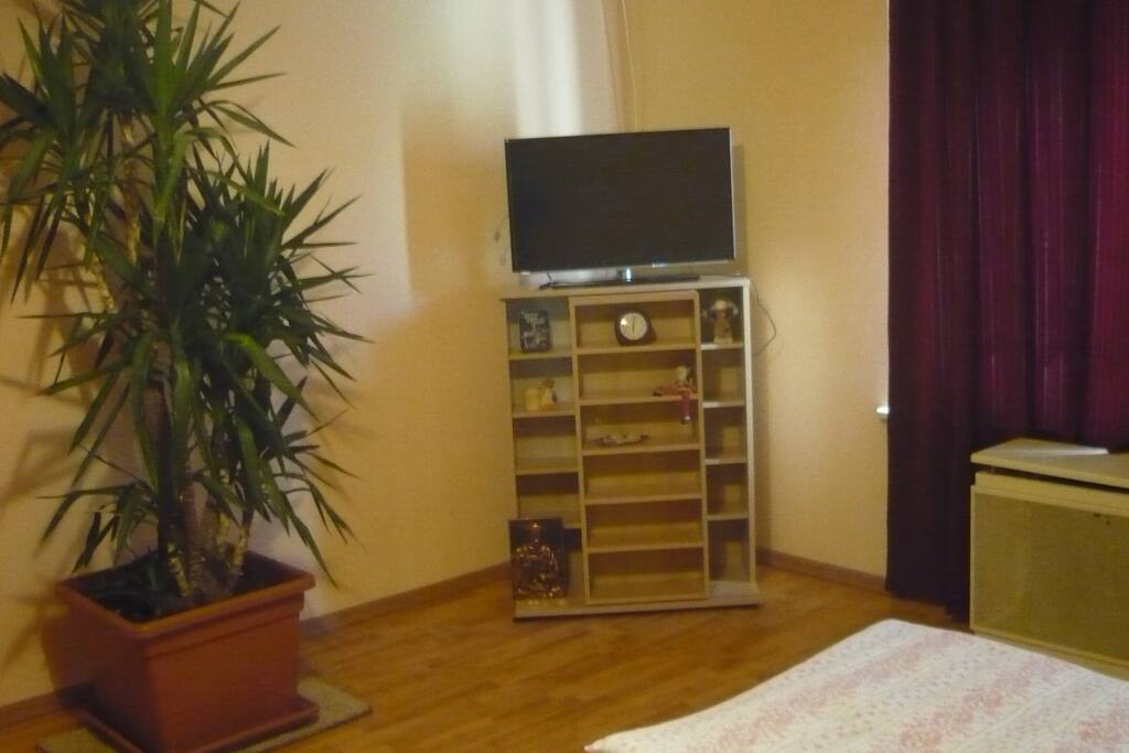 Hálószoba/Nappali